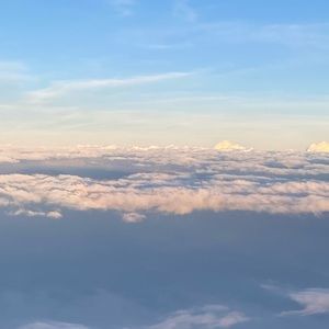 Meet your Posher, Bobbie